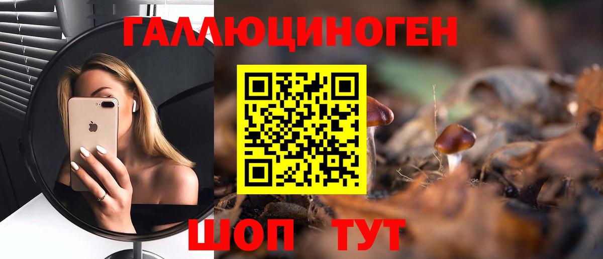 Галлюциногенные грибы Psilocybe Красноярск